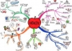 give you a PR5 Health niche one way Doffollow blogroll link