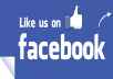 add 1300+ USA Facebook Like and promote to 110,000+ my twitter followers