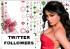 Add 10000+ HIGH QUALITY Twitter Followers To Skyrocket Your Followers Number Overnight