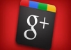 do Guaranteed 200 original Google+1 vote all USA living citizen user on your site/blog