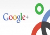  deliver 400++ Google plus Circles Real Human to seo rock up your high rank on google 