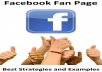 Deliver 5,000 Facebook fans "looking real" for your page