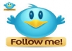 give you 650+ real Twitter Followers,no need your password!You will get some bonus in the process.100% Safe Guaranteed only