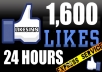 give You 1600+ Facebook Fans USA Likes With Profile Pictures And Fully Profiled Accounts Which Look Like Real Accounts Only!!!