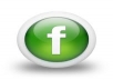 Give you 299+ Facebook Real & Active Like 100% only for