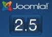 install Joomla on server, web host and fixing error,bugs in Joomla!!!