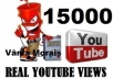 give you 20 000 youtube views with very fast delivery....!!!!