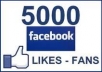 give you 5000 REAL HUMAN not fake Facebook Fan Page Likes in 24 hours