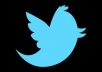 I will give you 4,000 twitter followers within 24 hours only for 