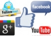 add 1000+ USA Facebook Fan Likes to your Fan Page or Web Domain ,profiled fan likes for your fan page or website,usa insight only, very fast.....!!!!!