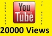 give you 20000 youtube views, 15+ likes, 30+subscribers ...!!!!!!!!!