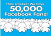 add 50,000+ High Quality Facebook likes in just 48hours
