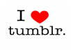 create a niche Tumblr blog with 300 ready posts and teach you how to monetise Tumblr