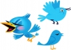 add 21,500+ Followers By Your Profile Link To Larger Your Twitters Follower In 12 Hours Without Your Account Credentials