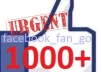 add 1000+ USA Facebook Fan Likes to your Fan Page or Web Domain ,profiled fan likes for your fan page or website,usa insight only, very fast..!!!!!