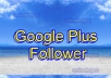 I will deliver 50 Google Plus Follower to seo rock up your high rank on google