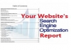 Make a killer SEO report on any web site you would like and then send it to you 