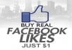 give you 100 REAL FACEBOOK LIKES or FANS only from REAL PEOPLE 