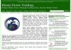 Bisnis Forex Trading PR2 Alexa 300K DA/PA 36/41