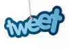give you 500 tweets for your website button in 24 hours from 500 profiles
