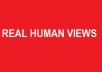 give you 20 000 youtube views with very fast delivery..!!!!!!!