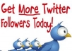 give you 300 REAL TWITTER Followers Daily