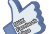 read gig description/ give you REAL Worldwide Facebook Fans Likes to your Fan Page or Web Domain..!!!!!!!!!!!