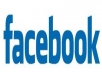 Get you 350+ Facebook Like, 100% real & Genuine only