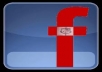 Give you 599+ Facebook Real Like 100% only