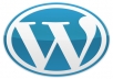 install Wordpress on your server with desired theme and plugins