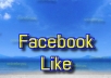 add 1000  Real and Active Facebook likes to your fan page without admin access