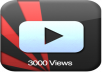 Give You 3000+Real Human Youtube Views+10 Likes+Comments