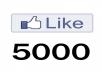 make quick and safe 5000 facebook likes for your page, i can give you 500k likes for your page