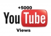 give you 5000 real and unique views to your video to YouTube without passwords