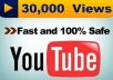 give you 25000 YouTube views in 48 hours