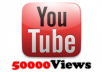 give you 50,000 youtube views to any video