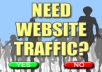 send 1000 real targeted USA visitors to your website..!!!!!