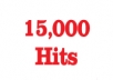 deliver 15000 traffic to your website
