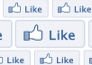 Provide 1000+ REAL USA Facebook Likes to Your fan page