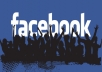 1.500 Genuine High Quality REAL Facebook Fan Page Likes