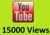give u 15,000+ youtube views fastly to your video