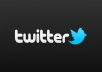 Provide 2,000+ REAL looking TWITTER followers Real Looking verified Twitter followers