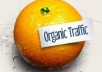 ****improve Your Google Organic Traffic By Sending Real Visitors To Your Website