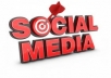 *****promote your social networking sites and spread out 500 follows, likes and subscribers
