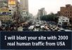 blast your website with 2000 real human traffic just