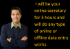 be your online secretary for 3 hours and will do any type of online or offline data entry works.