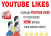 give you 100 REAL youtube likes on your video
