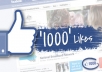 I will give 1000+ Real likes to your Facebook fan page 