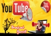 add 100,000+ youtube views plus 200+ likes to any video