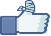 provide you 200+200+100 facebook fan